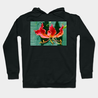 Flame Blossom Hoodie